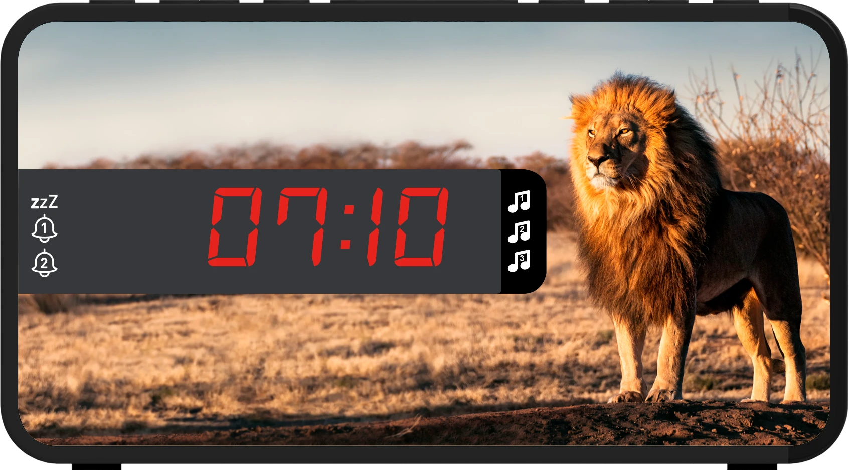 Sveglia con doppio alarme - R16SAFARI